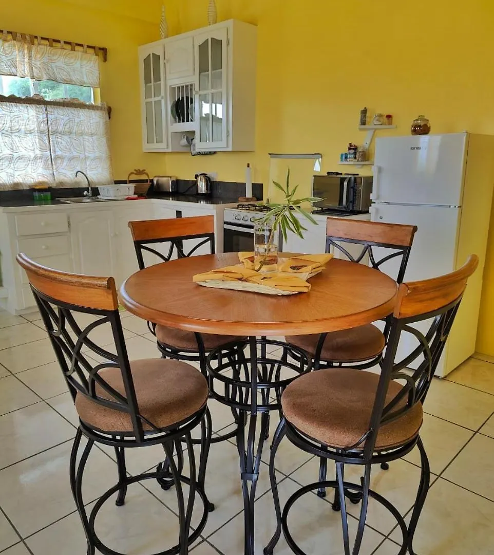 Isla Vista Apartment Canouan Charlestown